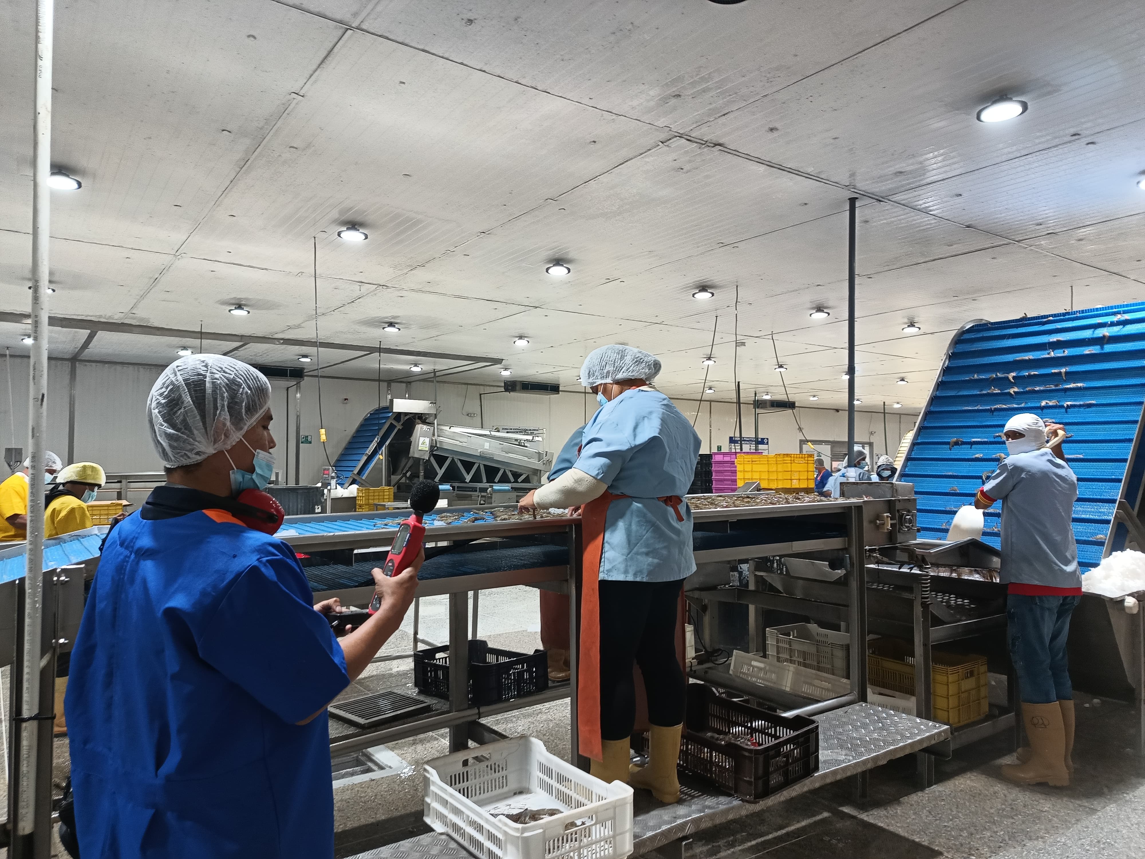 Estudios y Análisis